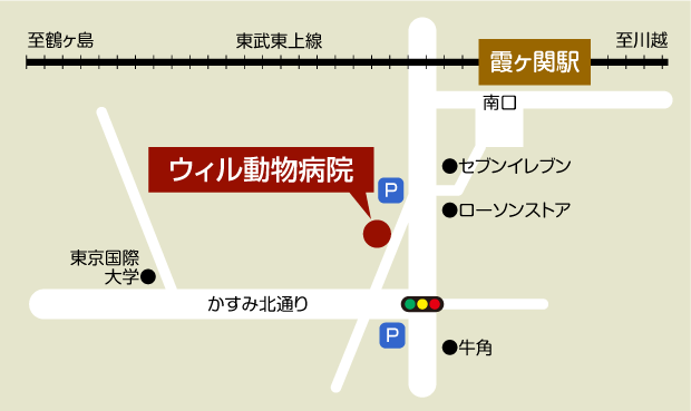 ウィル動物病院地図